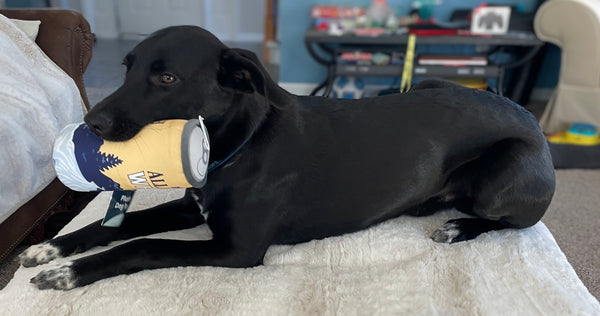 Allagash + PrideBites - Squeaky Dog Toy