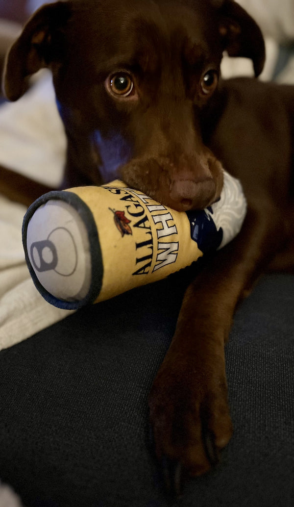 Allagash + PrideBites - Squeaky Dog Toy