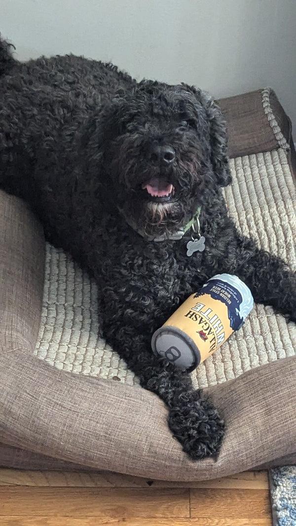 Allagash + PrideBites - Squeaky Dog Toy